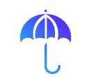 icon8